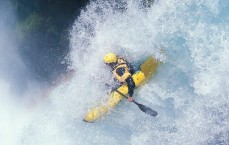 中国体彩网|惠灵顿凤凰主场惊险扳平！连追两球2-2战平阿德莱德联，古德温助攻杜泽尔首球破纪录