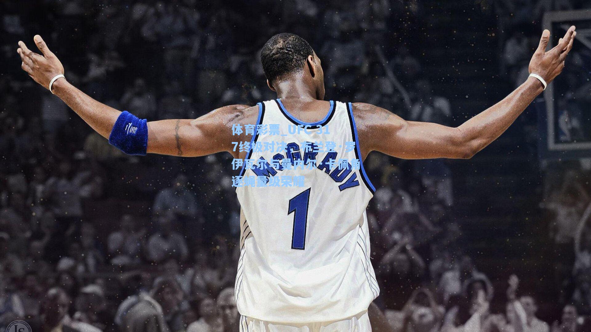 UFC 317终极对决,布兰登·罗伊瓦尔与曼内尔·卡佩角逐蝇量级荣耀