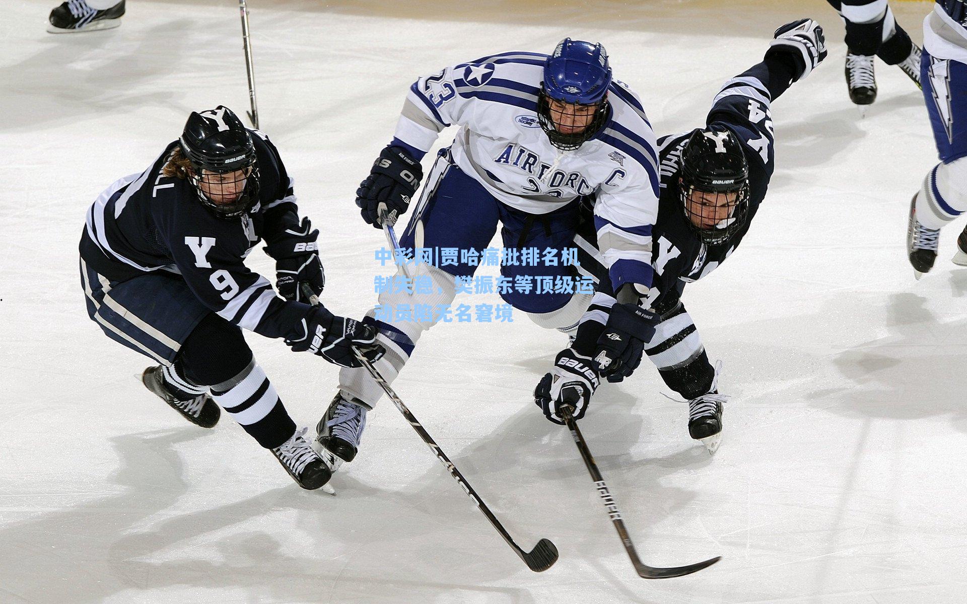 贾哈痛批排名机制失稳，樊振东等顶级运动员陷无名窘境