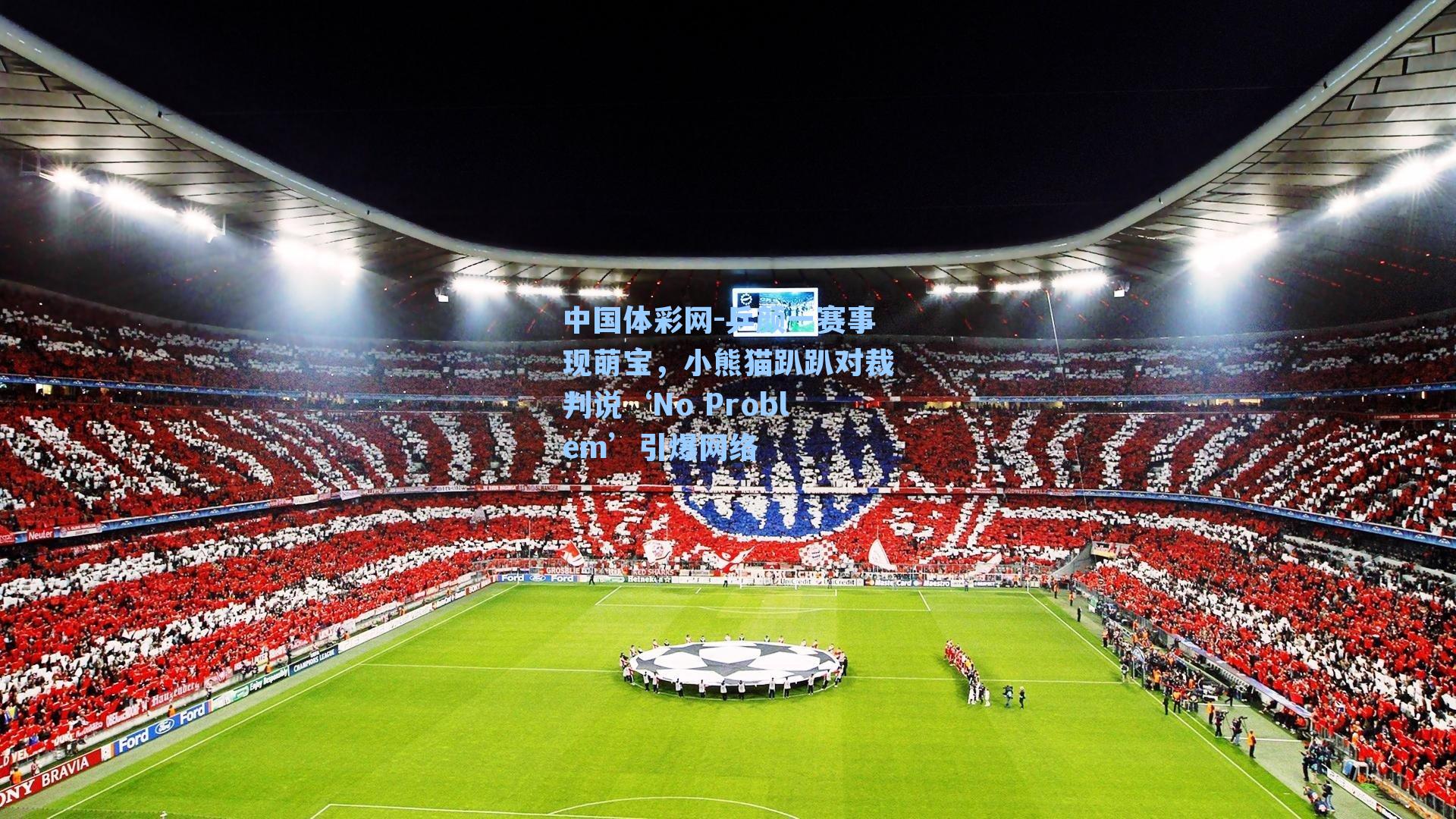 乒颜一赛事现萌宝，小熊猫趴趴对裁判说‘No Problem’引爆网络